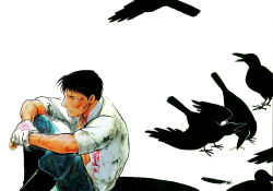 Rule 34 | 1boy, ankle boots, artist name, bird, black eyes, black feathers, black footwear, black hair, blood, blood on face, blood on clothes, boots, closed mouth, collared shirt, crow, cuts, dirty, dirty clothes, expressionless, feathers, feet out of frame, from above, fullmetal alchemist, gloves, half-closed eyes, hand on own wrist, high collar, injury, jitome, knees to chest, looking afar, male focus, navel, pants, partially unbuttoned, profile, roy mustang, scratches, shirt, short sleeves, simple background, single glove, sitting, spiked hair, stomach, urikurage, white background, white gloves, white shirt, wide shot