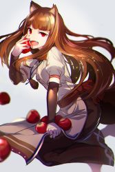 Rule 34 | 1girl, absurdres, alicecoco, animal ears, apple, breasts, brown hair, fang, food, fruit, highres, holding, holo, long hair, open mouth, orange hair, puffy sleeves, red eyes, smile, solo, spice and wolf, tail, white background, wolf ears, wolf girl, wolf tail