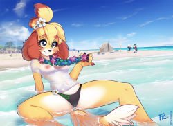 Rule 34 | 2girls, 3boys, animal crossing, animal ears, animal hands, apollo (animal crossing), arm support, beach, bikini, blonde hair, blush stickers, breasts, brown eyes, dog ears, dog tail, eyebrows, eyelashes, flower, flower necklace, flower on head, fluff kevlar, furry, holding, isabelle (animal crossing), jewelry, k.k. slider (animal crossing), kass, looking at viewer, mabel able (animal crossing), medium breasts, multiple boys, multiple girls, navel, necklace, nintendo, nipples, no bra, ocean, outdoors, palm tree, pawpads, pinky out, see-through, shirt, sitting, sky, smile, spread legs, swimsuit, tail, tent, the legend of zelda, the legend of zelda: breath of the wild, thighs, topknot, torch, tree, water, wet, wet clothes, wet shirt