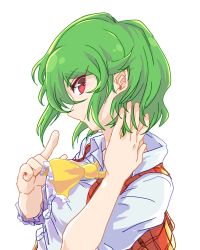 Rule 34 | 1girl, ascot, breasts, collared shirt, green hair, hand in own hair, highres, index finger raised, kazami yuuka, looking at viewer, plaid, plaid vest, pointing, profile, red eyes, retora, shirt, short hair, simple background, smile, solo, touhou, upper body, vest, white background