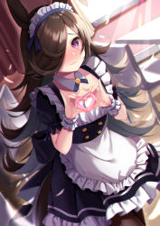 Rule 34 | 1girl, alternate costume, amahara pekozaemon, animal ears, apron, black dress, black hair, blush, chair, closed mouth, commentary request, dress, embarrassed, enmaided, frilled apron, frills, hair ornament, hair over one eye, hands up, heart, heart hands, highres, horse ears, horse girl, horse tail, indoors, lens flare, long hair, looking at viewer, maid, maid headdress, moe moe kyun!, nose blush, pantyhose, puffy short sleeves, puffy sleeves, purple eyes, rice shower (umamusume), short sleeves, solo, table, tail, tears, umamusume, wavy mouth, white apron, wrist cuffs