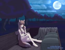 Rule 34 | 1girl, animal ears, apple, breasts, brown hair, cart, cloud, completely nude, convenient leg, food, fruit, full moon, hair censor, holo, kami mitsugu (kamiken), long hair, moon, navel, night, nude, red eyes, sitting, sky, solo, spice and wolf, tail, tree, very long hair, watermark, web address, wolf ears, wolf tail