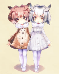 Rule 34 | 10s, 2girls, :o, brown eyes, brown hair, coat, eurasian eagle owl (kemono friends), fur collar, grey hair, hair between eyes, head wings, kemono friends, long sleeves, looking at viewer, mizoreame, multicolored hair, multiple girls, northern white-faced owl (kemono friends), pantyhose, shoes, short hair, simple background, standing, two-tone hair, white footwear, white hair, white legwear, wings