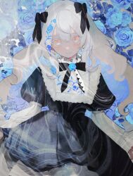 Rule 34 | 1girl, black bow, black bowtie, black dress, blue flower, blue hair, blue petals, blue rose, blush, bow, bowtie, closed mouth, commentary, dress, earrings, eyelashes, floral background, floral print dress, flower, hair between eyes, hair bow, ham melon (iloha 24), highres, jewelry, light blue hair, lolita fashion, long hair, long sleeves, looking at viewer, multicolored hair, orange eyes, original, patterned hair, puffy long sleeves, puffy sleeves, rose, signature, smile, solo, standing, streaked hair, symbol-only commentary, two-tone hair, white hair, white sleeves