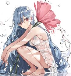 Rule 34 | 1girl, barefoot, blue hair, breasts, cleavage, dress, facing to the side, flower, from side, hair between eyes, hanagata, long hair, looking at viewer, medium breasts, mini person, minigirl, no bra, no panties, no shoes, original, red eyes, reflective floor, sideboob, simple background, solo, squatting, unfinished, very long hair, water, water drop, white background, white dress