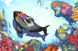 Rule 34 | 1boy, air bubble, animal, barefoot, black hair, blue shorts, bubble, closed eyes, coral, coral reef, fish, hi-fi (fijazzy), male focus, open mouth, orca, original, red shirt, riding, shirt, short sleeves, shorts, underwater