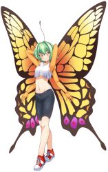Rule 34 | 1girl, antennae, artist request, bike shorts, blush, breasts, butterfly girl, chitin, compound eyes, crop top, extra arms, flare (monster musume), full body, game cg, green hair, hair intakes, insect wings, looking at viewer, medium breasts, medium hair, midriff, monster musume no iru nichijou, monster musume no iru nichijou online, navel, official art, red footwear, shoes, smile, sneakers, tachi-e, tank top, transparent background, white tank top, wings, yellow eyes