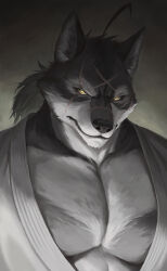 Rule 34 | 1boy, absurdres, ahoge, animal ears, bara, commentary, commission, cross scar, dougi, english commentary, furry, furry male, highres, looking at viewer, male focus, morenatsu, multiple scars, nat vitchayed, pectoral cleavage, pectorals, ponytail, scar, scar across eye, ten kodori, upper body, wolf boy, wolf ears