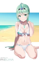 Rule 34 | 1girl, beach, bikini, blue sky, breasts, cleavage, day, evan (pixiv7510743), green eyes, green hair, hair ornament, highres, jewelry, large breasts, long hair, looking at viewer, navel, nintendo, ocean, pneuma (xenoblade), ponytail, rubbing neck, sand, seiza, sitting, sky, smile, solo, spoilers, swept bangs, swimsuit, third-party source, very long hair, wet, white bikini, xenoblade chronicles (series), xenoblade chronicles 2