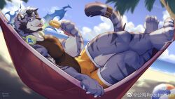 Rule 34 | 1boy, :p, alternate costume, artist request, ball, bara, beach, beachball, beard, black tank top, blue sky, crossed legs, day, facial hair, fiery headphones, food, full body, furry, furry male, highres, ice cream, large pectorals, looking at viewer, male focus, male swimwear, mature male, muscular, muscular male, ocean, orange male swimwear, original, outdoors, palm tree, pectorals, sand, second-party source, short hair, sky, smile, solo, sunglasses, swim trunks, tail belt, tank top, thick eyebrows, thick thighs, thighs, tongue, tongue out, tree, weibo logo, weibo watermark, zixiong zix (character)