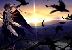 Rule 34 | 1girl, alternate costume, animal, bird, black hair, black thighhighs, black wings, branch, cloud, crow, feathered wings, feathers, female focus, geta, hand fan, hat, japanese clothes, katana, kimono, long sleeves, looking at viewer, matsuyama nozomu, mountain, nature, open mouth, outdoors, plant, red eyes, red ribbons, ribbon, shameimaru aya, short hair, sky, smile, solo, sunlight, sunset, sword, thighhighs, tokin hat, touhou, traditional clothes, tree, weapon, wide sleeves, wings