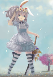 Rule 34 | 1girl, absurdres, animal ears, apron, blue eyes, dress, elin, fang, highres, long hair, mag (huangmag), ponytail, rabbit ears, silver hair, smile, solo, striped clothes, striped thighhighs, sword, tera online, thighhighs, weapon