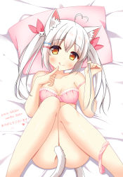 Rule 34 | &gt; &lt;, 1girl, :q, ahoge, animal ear fluff, animal ears, bare arms, bare shoulders, bed sheet, blush, bottomless, bow, bow bra, bra, breasts, brown eyes, cat ears, cat girl, cat hair ornament, cat tail, closed mouth, collarbone, commentary request, finger to mouth, fingernails, hair between eyes, hair ornament, hair ribbon, hairclip, head tilt, heart, heart ahoge, highres, index finger raised, long hair, looking at viewer, lying, on back, original, panties, panties around leg, pillow, pink bra, pink panties, red ribbon, ribbon, sidelocks, silver hair, small breasts, smile, solo, tail, tail censor, tongue, tongue out, twintails, underwear, xiaosamiao