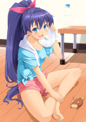 Rule 34 | 1girl, :d, animal, bare legs, barefoot, blue eyes, blue hair, blush, bottle, bow, fang, feet, ganaha hibiki, hair bow, hamster, hamuzou, hands on feet, idolmaster, idolmaster (classic), indian style, legs, long hair, looking at viewer, matching hair/eyes, miri (ago550421), on floor, open mouth, ponytail, purple hair, shirt, short shorts, shorts, sitting, smile, solo, sweat, table, tied shirt, toes, towel, towel around neck, very long hair, water bottle