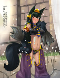 Rule 34 | !, 1girl, animal ears, animal hands, anubis (monster girl encyclopedia), anubis (mythology), armband, armlet, between breasts, black hair, black panties, blush, breasts, butter-t, clothing cutout, covered erect nipples, crotch cutout, dark-skinned female, dark skin, dog ears, egyptian, egyptian mythology, female focus, flower, fur, gloves, gold, hand on own hip, harem outfit, harem pants, jewelry, large breasts, long hair, looking at viewer, lots of jewelry, midriff, monster girl, monster girl encyclopedia, navel, necktie, open mouth, orange eyes, panties, pants, paw gloves, red eyes, revealing clothes, sidelocks, signature, solo, standing, sweatdrop, tail, tattoo, translated, underwear