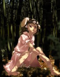 Rule 34 | 1girl, animal ears, bamboo, bamboo forest, barefoot, black hair, bloomers, dappled sunlight, dress, female focus, forest, inaba tewi, most body, nature, rabbit ears, red eyes, short hair, sitting, solo, sun-3, sunlight, toes, touhou, underwear, white bloomers