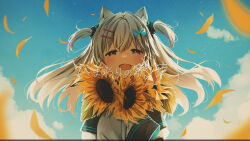 Rule 34 | 1girl, :d, animal ear fluff, animal ears, blue bow, blue sky, bow, brown eyes, cat ears, cloud, commentary request, day, flower, grey hair, hair bow, hair ornament, hairclip, half-closed eyes, highres, indie virtual youtuber, jacket, long hair, long sleeves, looking at viewer, natsume eri, natsume eri (vtuber), hugging object, open mouth, outdoors, petals, sky, sleeves past fingers, sleeves past wrists, smile, solo, sunflower, two side up, virtual youtuber, white jacket, yellow flower