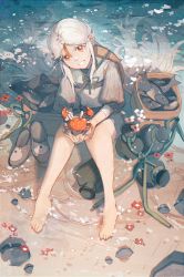 Rule 34 | 1girl, :d, absurdres, aged down, animal, barefoot, basket, blonde hair, child, chinese commentary, commentary request, crab, fish, flower, from above, full body, genshin impact, grey shirt, hair ornament, hair tassel, highres, holding, holding animal, knees up, long hair, looking at viewer, looking up, ningguang (genshin impact), open mouth, outdoors, parted bangs, puffy sleeves, red eyes, red flower, rock, sand, shangjinyoukaixin, shirt, shoes, unworn shoes, shore, sitting, smile, solo, tassel, tassel hair ornament, vase, very long hair, water