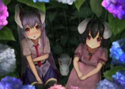 Rule 34 | :o, animal ears, arm across chest, belt, black hair, black legwear, blue skirt, blush, carrot necklace, commentary request, dress, flower, highres, hugging own legs, hydrangea, inaba tewi, knees to chest, light purple hair, long hair, looking at viewer, looking up, luke (kyeftss), miniskirt, necklace, necktie, outdoors, own hands together, pink dress, puffy short sleeves, puffy sleeves, rabbit, rabbit ears, rain, red eyes, red neckwear, reisen udongein inaba, shirt, short hair, short sleeves, sitting, skirt, skirt hold, thighhighs, touhou, untucked shirt, very long hair, wet, wet clothes, wet hair, white shirt