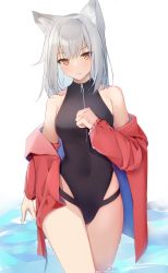 Rule 34 | 1girl, absurdres, arknights, black one-piece swimsuit, blush, breasts, covered navel, grey hair, groin, highleg, highleg swimsuit, highres, jacket, kotoha (kotoha65), long hair, long sleeves, medium breasts, off shoulder, official alternate costume, one-piece swimsuit, open clothes, open jacket, projekt red (arknights), projekt red (light breeze) (arknights), red jacket, simple background, solo, swimsuit, wading, water, white background, yellow eyes