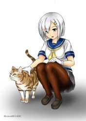 Rule 34 | 1girl, blue eyes, blue sailor collar, brown pantyhose, cat, commentary request, gloves, grey skirt, hair ornament, hair over one eye, hairclip, hamakaze (kancolle), kantai collection, kudou (ooabareteng), neckerchief, one-hour drawing challenge, pantyhose, petting, pleated skirt, sailor collar, school uniform, serafuku, short hair, short sleeves, silver hair, simple background, skirt, solo, squatting, twitter username, white background, white gloves, yellow neckerchief