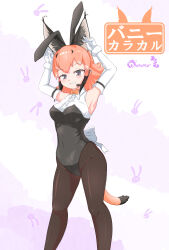 Rule 34 | 1girl, animal ears, arms up, black hair, black leotard, black pantyhose, blue eyes, bow, bowtie, breasts, caracal (kemono friends), caracal ears, collared shirt, elbow gloves, fake animal ears, gloves, grin, half-closed eyes, headset, highres, kemono friends, kemono friends v project, large breasts, leotard, looking at viewer, multicolored hair, nokemono-san (bocchi friend), orange bow, orange bowtie, orange hair, pantyhose, parted lips, playboy bunny, rabbit ears, shirt, short hair, sleeveless, sleeveless shirt, smile, solo, tail, teeth, virtual youtuber, white bow, white gloves, white shirt