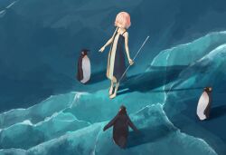 Rule 34 | bare shoulders, barefoot, bird, dress, emperor penguin, frozen, glacier, ice, ocean, original, others (gogo-o), penguin, pink hair, short hair