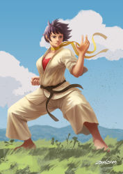 Rule 34 | 1girl, barefoot, belt, black belt, black hair, breasts, brown eyes, choker, cleavage, clenched hand, commentary request, day, dougi, fighting stance, full body, highres, karate, karate gi, lips, makoto (street fighter), martial arts belt, medium breasts, nose, outdoors, red sports bra, ribbon choker, short hair, solo, sports bra, standing, street fighter, street fighter iii (series), tomboy, wind, zamisam