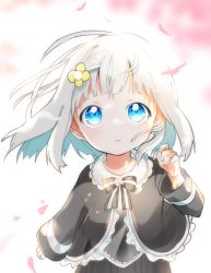 Rule 34 | 1girl, bad id, bad pixiv id, black bow, black dress, black shirt, blue eyes, blush, bow, dress, fingernails, flower, frilled shirt, frills, fuyusuke (hz+), hair flower, hair ornament, hairclip, hand up, long hair, long sleeves, looking up, md5 mismatch, original, parted lips, petals, shirt, solo, striped, striped bow, white background, white hair