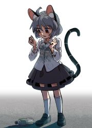 Rule 34 | 1girl, absurdres, ahoge, animal ear fluff, animal ears, black footwear, bottle, collared shirt, full body, grey hair, grey skirt, highres, kusiyan, mouse ears, mouse girl, mouse tail, nazrin, open mouth, red eyes, see-through, see-through shirt, shirt, short hair, skirt, socks, solo, standing, tail, touhou, water bottle, wet, wet clothes, wet shirt, white background, white shirt, white socks