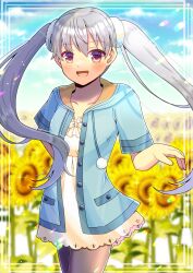 Rule 34 | 1girl, :d, absurdres, black pantyhose, blue jacket, blurry, blurry background, blush, brown eyes, collarbone, commentary request, commission, depth of field, drawstring, dress, field, flower, flower field, frilled dress, frills, grey hair, hair between eyes, highres, hood, hood down, hooded jacket, jacket, kou hiyoyo, long hair, looking at viewer, monogatari (series), oikura sodachi, open clothes, open jacket, open mouth, owarimonogatari, pantyhose, short sleeves, skeb commission, smile, solo, standing, sunflower, twintails, very long hair, white dress, yellow flower