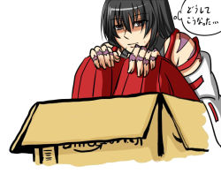 Rule 34 | 1girl, amazon (company), black eyes, black hair, box, cardboard box, detached sleeves, hakama, hakama pants, in box, in container, japanese clothes, knees to chest, knees to chest, long hair, m.u.g.e.n, nontraditional miko, original, pants, red hakama, samuimu, scar, sendai hakurei no miko, solo, sweatdrop, touhou, translation request
