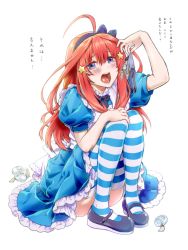 Rule 34 | 1boy, 1girl, ahoge, alice (alice in wonderland), alice (alice in wonderland) (cosplay), alice in wonderland, blue dress, blue eyes, bottle, bow, clothes lift, cosplay, dress, eat me, giant, giantess, go-toubun no hanayome, hair bow, hair ornament, heart, highres, long hair, mary janes, nakano itsuki, open mouth, pants, puffy short sleeves, puffy sleeves, red hair, shoes, short sleeves, simple background, size difference, star (symbol), star hair ornament, striped clothes, striped legwear, striped thighhighs, sweater, sweater lift, teeth, thighhighs, tongue, translation request, uesugi fuutarou, upper teeth only, white background, yu (flowerbird3830)