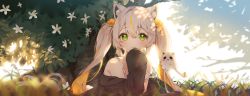 Rule 34 | 1girl, absurdres, animal ear fluff, animal ears, bare shoulders, black jacket, blush, cat ears, cheli (kso1564), closed mouth, commentary request, copyright request, day, dress, flower, ghost, green eyes, hair between eyes, highres, jacket, light brown hair, long hair, long sleeves, looking at viewer, multicolored hair, off shoulder, official art, open clothes, open jacket, orange hair, outdoors, puffy long sleeves, puffy sleeves, sleeveless, sleeveless dress, sleeves past fingers, sleeves past wrists, smile, solo, strap slip, streaked hair, tree, twintails, two-tone hair, upper body, very long hair, white dress, white flower