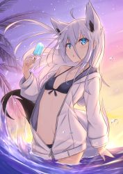 Rule 34 | 1girl, animal ears, bikini, breasts, collarbone, food, fox ears, fox girl, fox tail, front-tie bikini top, front-tie top, grey hair, highres, holding, holding food, jacket, long hair, looking at viewer, open clothes, open jacket, open mouth, original, popsicle, small breasts, solo, swimsuit, tail, yukishiro haku