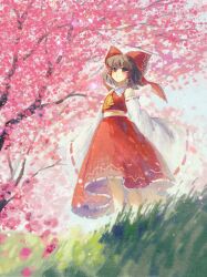 Rule 34 | 1girl, ascot, bow, brown eyes, brown hair, detached sleeves, flower, frilled bow, frilled hair tubes, frills, ge dazuo, grass, hair bow, hair tubes, hakurei reimu, highres, long hair, outdoors, pink flower, red bow, red skirt, ribbon-trimmed sleeves, ribbon trim, skirt, skirt set, solo, touhou