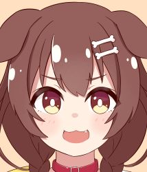 Rule 34 | 1girl, :3, animal collar, animal ears, blush, bone hair ornament, braid, brown background, brown eyes, brown hair, cartoon bone, collar, dog ears, dog girl, fang, hair between eyes, hair ornament, hairclip, highres, hololive, inugami korone, ixia (ixia424), long hair, looking at viewer, low twin braids, open mouth, portrait, red collar, simple background, solo, twin braids, virtual youtuber