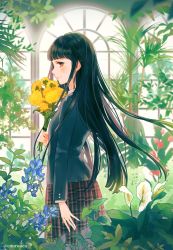 Rule 34 | 1girl, ame (conronca), arm at side, artist name, black hair, black jacket, blazer, blunt bangs, blush, bouquet, brown eyes, brown skirt, closed mouth, commentary request, flower, flower request, greenhouse, highres, holding, holding bouquet, indoors, jacket, long hair, long sleeves, looking at viewer, looking to the side, original, plaid, plaid skirt, plant, pleated skirt, sideways glance, skirt, smile, solo, twitter username, very long hair, window, yellow flower