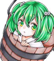 Rule 34 | 1girl, bucket, green eyes, green hair, hair bobbles, hair ornament, in bucket, in container, kisume, kurumikko, looking at viewer, marker (medium), matching hair/eyes, open mouth, simple background, solo, touhou, traditional media, two side up, white background