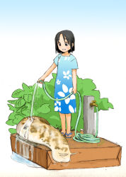 Rule 34 | 1girl, akai sashimi, animal, black eyes, black hair, blue dress, blue footwear, commentary request, dress, flip-flops, floral print, full body, gradient background, gradient dress, holding, holding hose, hose, looking at animal, no nose, original, outdoors, oversized animal, parted bangs, parted lips, plant, print dress, puddle, sandals, short hair, short sleeves, slug, smile, solo, standing, washing, water
