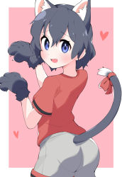 Rule 34 | 1girl, animal ears, animal hands, bad id, bad pixiv id, black hair, blue eyes, blush, cat ears, cat tail, claw pose, commentary, fang, from behind, gloves, grey shorts, heart, highres, kaban (kemono friends), kemono friends, kemonomimi mode, looking at viewer, looking back, open mouth, outside border, paw gloves, pink background, red ribbon, red shirt, ribbon, shirt, short hair, short sleeves, shorts, smile, solo, t-shirt, tail, tail ornament, tail ribbon, takom, wavy hair
