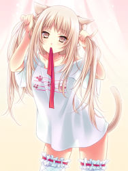 Rule 34 | 1girl, animal ears, bunching hair, cat ears, cat tail, cocoa (cafe-hotcocoa), curtains, frilled thighhighs, frills, long hair, mouth hold, no pants, original, paw print, pinky out, ribbon, ribbon in mouth, shino (endyy), solo, tail, thighhighs, twintails