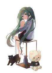 Rule 34 | 1girl, absurdres, bad id, bad pixiv id, black cat, black skirt, cat, closed mouth, commentary, flower, full body, glasses, green eyes, green hair, grey sweater vest, hatsune miku, highres, knee up, long hair, long sleeves, looking at viewer, project sekai, shan (ti0n), simple background, sitting, skirt, soles, solo, stuffed animal, stuffed toy, sweater vest, teddy bear, twintails, white background