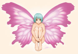 Rule 34 | 1girl, aqua hair, barefoot, butterfly wings, fairy, feet, green eyes, hugging own legs, insect wings, knees to chest, nude, original, pointy ears, short hair, signature, simple background, sitting, sketch, solo, wings, yukihiro