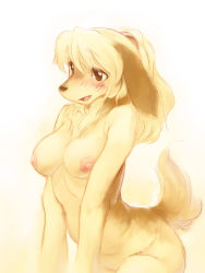 Rule 34 | animal ears, blonde hair, blush, brown eyes, dog, furry, mizuki kotora, tail