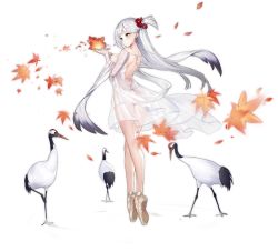 Rule 34 | 1girl, ass, autumn leaves, azur lane, backless dress, backless outfit, ballet slippers, bird, blue eyes, blush, breasts, crane (animal), dress, earrings, enka (bcat), expressionless, eyeliner, floating hair, from behind, full body, gold footwear, hair ornament, hair scrunchie, hands up, jewelry, lace, lace sleeves, large breasts, long hair, long sleeves, looking at hands, makeup, mole, mole under eye, no bra, no panties, official alternate costume, official art, one side up, red-crowned crane, red scrunchie, ripples, scrunchie, see-through, shawl, shoukaku (azur lane), shoukaku (the crane that dances with the wind) (azur lane), shoulder blades, silver hair, solo, standing, tachi-e, thighs, tiptoes, transparent background, white dress, wind