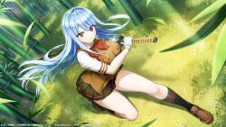 1girl blue_hair breasts chouun_shiryuu chouun_shiryuu_(cosplay) dolphin_wave ikkitousen large_breasts long_hair nayuki_hiori official_art red_eyes solo sword weapon