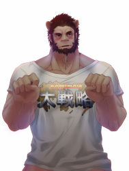 Rule 34 | 1boy, animal ears, beard, blush, casual, cat boy, cat ears, facial hair, fate/zero, fate (series), highres, iskandar (fate), male focus, manly, muscular, paw pose, red eyes, red hair, shirt, short hair, simple background, solo, t-shirt, tigari, white background