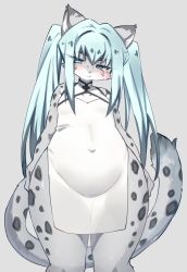Rule 34 | 1girl, aky sg6, animal nose, arms at sides, blue eyes, blue hair, body fur, chinese clothes, furry, furry female, grey background, hair between eyes, head tilt, long hair, pelvic curtain, simple background, snow leopard, solo, spotted fur, standing, twintails, wide hips