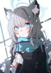 Rule 34 | 1girl, absurdres, animal ear fluff, animal ears, black jacket, blue archive, blue eyes, blue halo, blue scarf, blush, chinese commentary, closed mouth, commentary request, cross hair ornament, expressionless, extra ears, grey hair, hair ornament, halo, highres, jacket, long sleeves, medium hair, mismatched pupils, partial commentary, rosem lin, scarf, shiroko (blue archive), solo, upper body, wolf ears